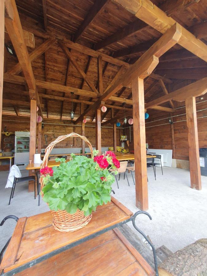 Apartmán Casa Ana Cluj Exteriér fotografie