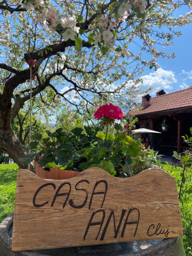 Apartmán Casa Ana Cluj Exteriér fotografie