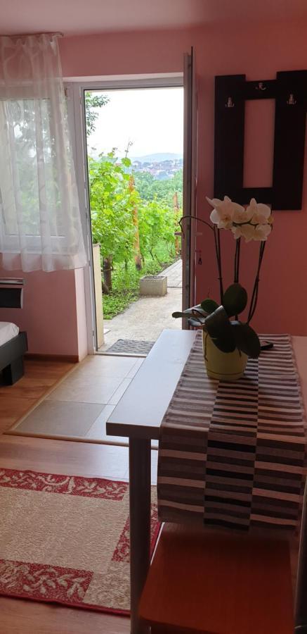 Apartmán Casa Ana Cluj Exteriér fotografie